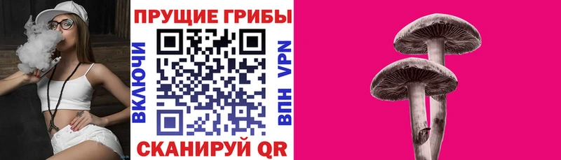 даркнет какой сайт  купить  цена  Тырныауз  Галлюциногенные грибы мицелий 